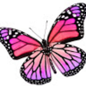 Meet your Posher, Jy